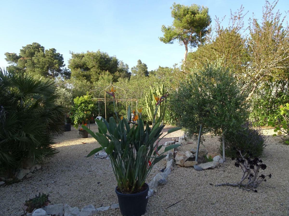 Casa Andaluz Holiday Villa 자베아 외부 사진